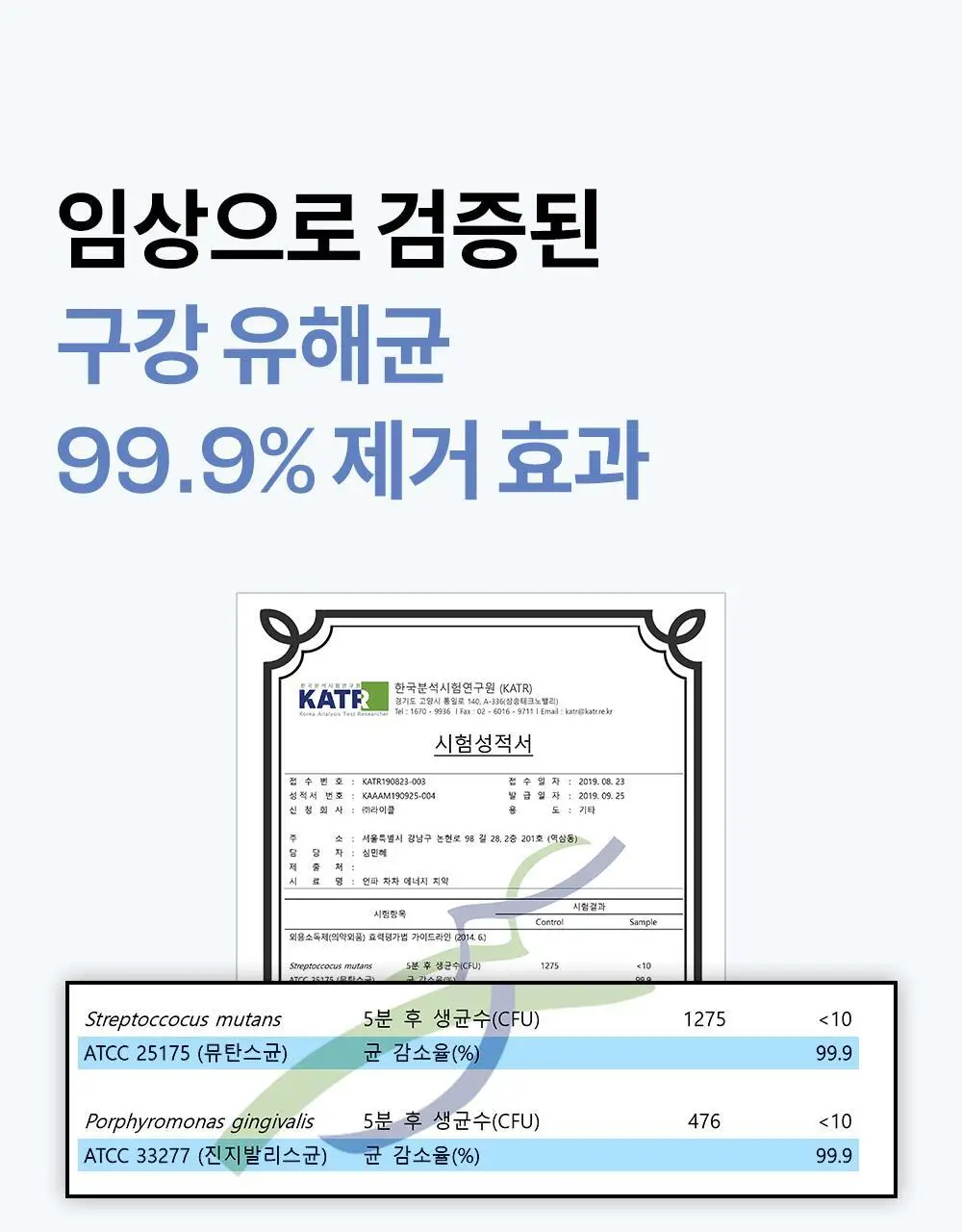 [진지발리스균 99.9%제거] 언파 차차 에너지 잇몸 치약 (100g) 상세페이지 9